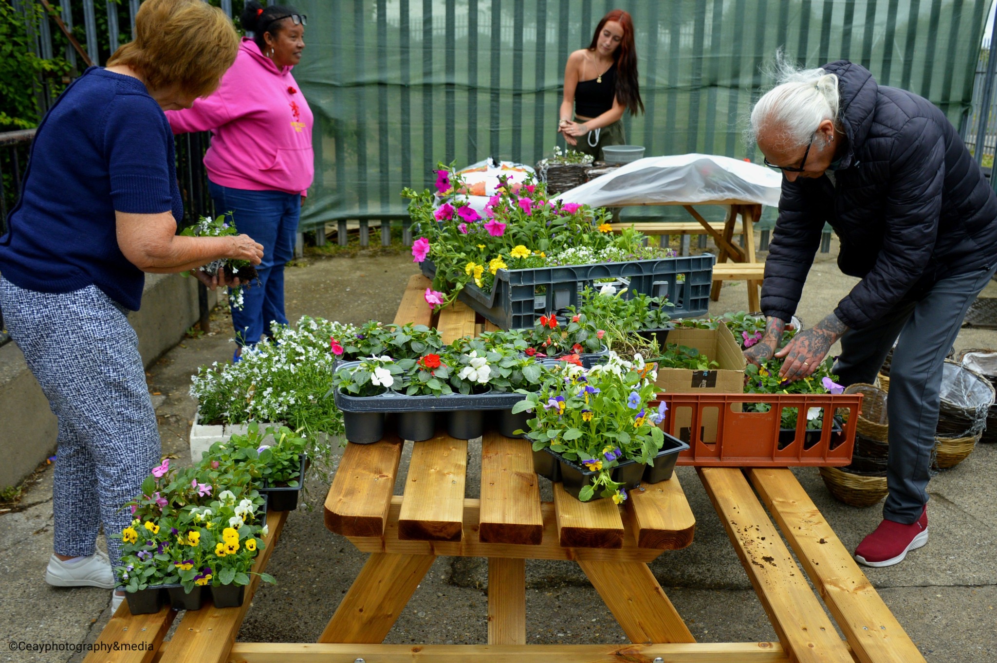 504479608_122196598376097992_4885322599026267080_n